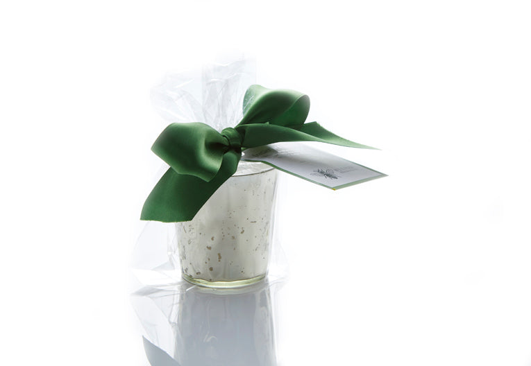Frasier Fir & Balsam